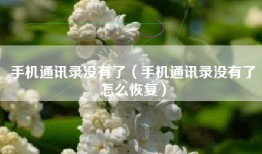 手机通讯录没有了（手机通讯录没有了怎么恢复）