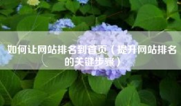 如何让网站排名到首页（提升网站排名的关键步骤）