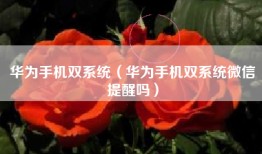 华为手机双系统（华为手机双系统微信提醒吗）