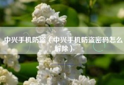 中兴手机防盗（中兴手机防盗密码怎么解除）