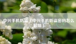 中兴手机防盗（中兴手机防盗密码怎么解除）
