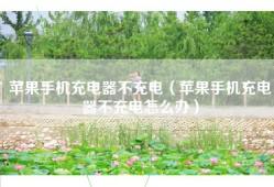 苹果手机充电器不充电（苹果手机充电器不充电怎么办）