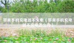 苹果手机充电器不充电（苹果手机充电器不充电怎么办）
