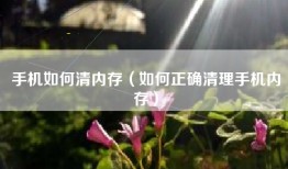 手机如何清内存（如何正确清理手机内存）