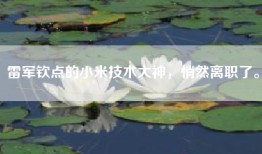 雷军钦点的小米技术大神，悄然离职了。