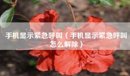 手机显示紧急呼叫（手机显示紧急呼叫怎么解除）