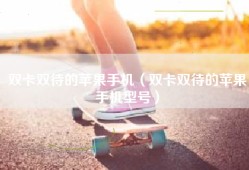 双卡双待的苹果手机（双卡双待的苹果手机型号）