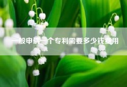 一般申请一个专利需要多少钱费用