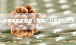 解手机锁屏密码（解手机锁屏密码多少钱）