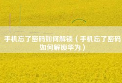 手机忘了密码如何解锁（手机忘了密码如何解锁华为）