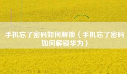 手机忘了密码如何解锁（手机忘了密码如何解锁华为）