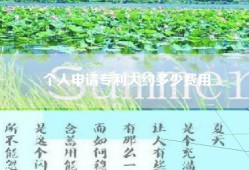 个人申请专利大约多少费用