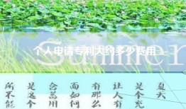 个人申请专利大约多少费用