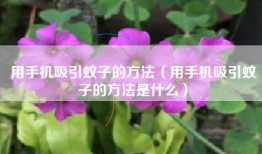 用手机吸引蚊子的方法（用手机吸引蚊子的方法是什么）