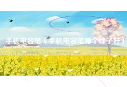 手机电容笔（手机电容笔哪个牌子好）