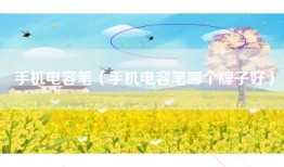 手机电容笔（手机电容笔哪个牌子好）