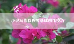 小说写作教程零基础创作技巧