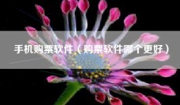 手机购票软件（购票软件哪个更好）