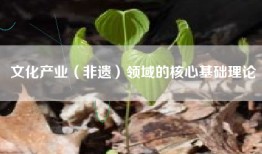 文化产业（非遗）领域的核心基础理论