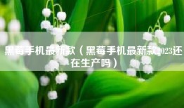 黑莓手机最新款（黑莓手机最新款2023还在生产吗）