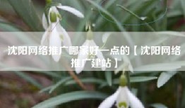 沈阳网络推广哪家好一点的【沈阳网络推广建站】