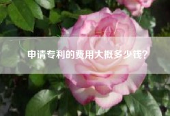 申请专利的费用大概多少钱？