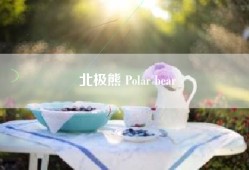 北极熊 Polar bear