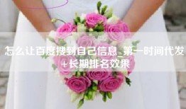 怎么让百度搜到自己信息_第一时间代发+长期排名效果