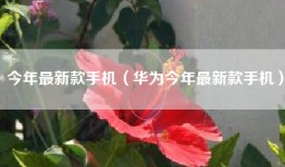 今年最新款手机（华为今年最新款手机）