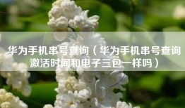 华为手机串号查询（华为手机串号查询激活时间和电子三包一样吗）