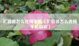 扩音器怎么连接手机（扩音器怎么连接手机唱歌）