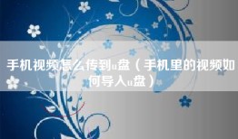 手机视频怎么传到u盘（手机里的视频如何导入u盘）