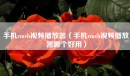 手机rmvb视频播放器（手机rmvb视频播放器哪个好用）