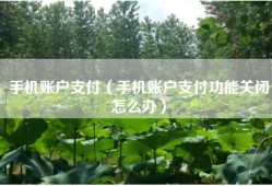 手机账户支付（手机账户支付功能关闭怎么办）