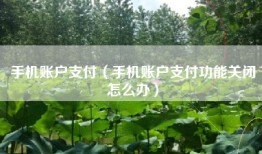 手机账户支付（手机账户支付功能关闭怎么办）