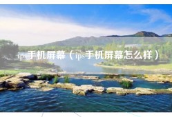 ips手机屏幕（ips手机屏幕怎么样）