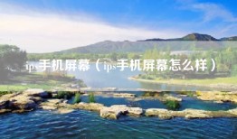 ips手机屏幕（ips手机屏幕怎么样）