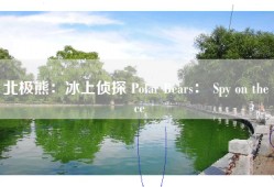 北极熊：冰上侦探 Polar Bears： Spy on the Ice