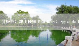 北极熊：冰上侦探 Polar Bears： Spy on the Ice