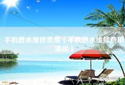 手机进水维修费用（手机进水维修费用谁出）