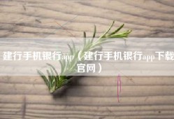 建行手机银行app（建行手机银行app下载官网）
