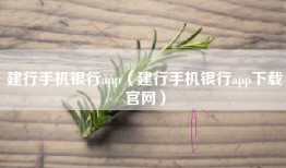 建行手机银行app（建行手机银行app下载官网）