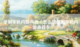 录制手机内部声音（怎么只录制手机内部声音）