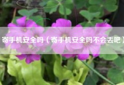 寄手机安全吗（寄手机安全吗不会丢吧）