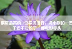 票房最高的10位导演排行，冯小刚拍一辈子还不如饺子一部电影零头