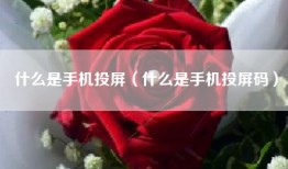什么是手机投屏（什么是手机投屏码）