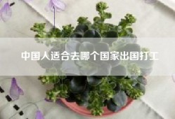 中国人适合去哪个国家出国打工