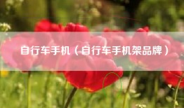 自行车手机（自行车手机架品牌）