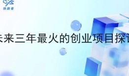 未来三年最火的创业项目探讨