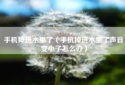 手机掉进水里了（手机掉进水里了声音变小了怎么办）